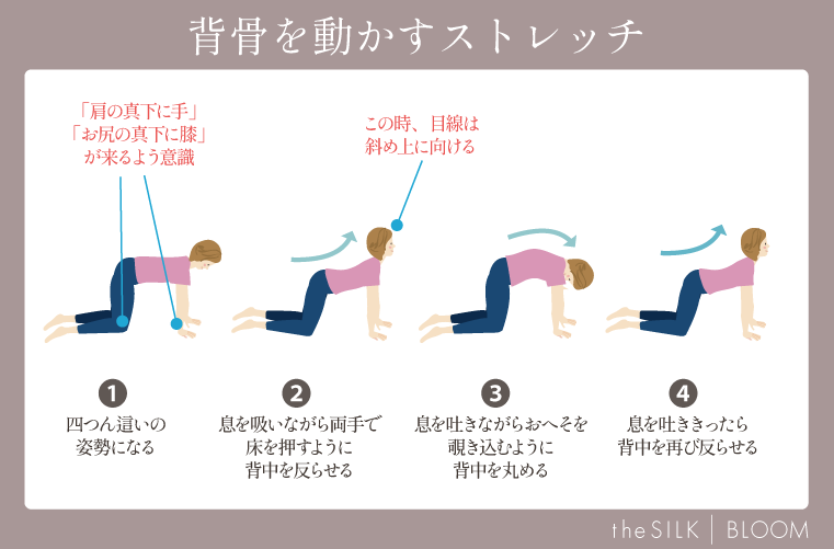 背骨を動かすストレッチ