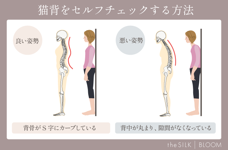 猫背をセルフチェックする方法