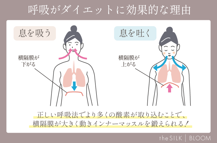 呼吸がダイエットに効果的な理由