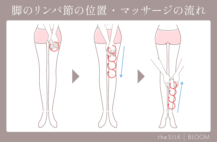 脚のリンパ節の位置・マッサージの流れ