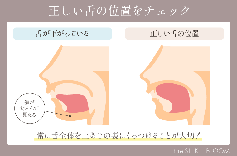 正しい舌の位置をチェック