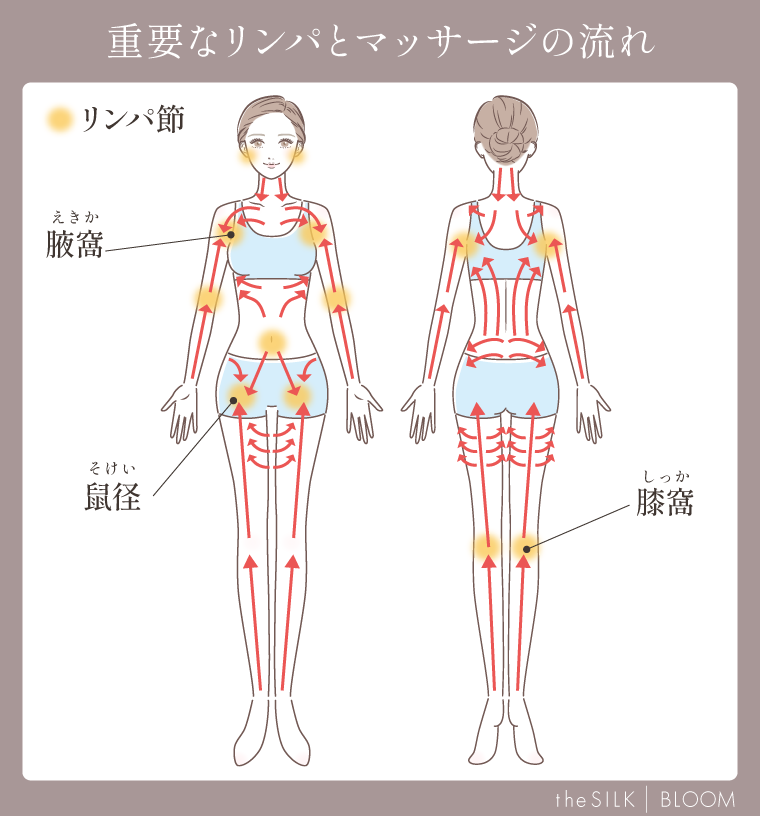 リンパ節の位置とマッサージの流れ