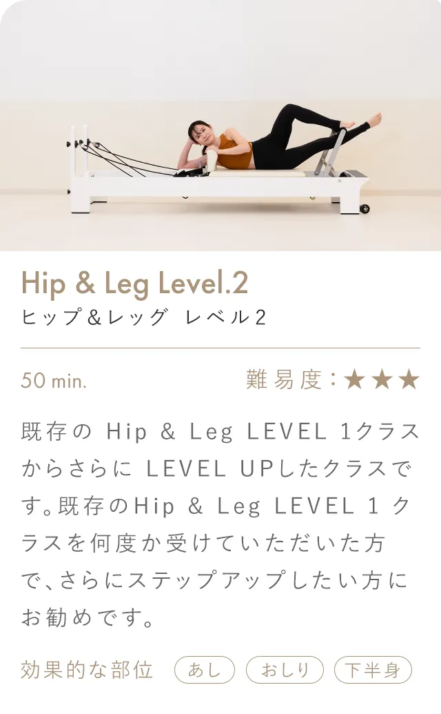 Hip & Leg Level.2