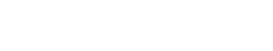 the SILK