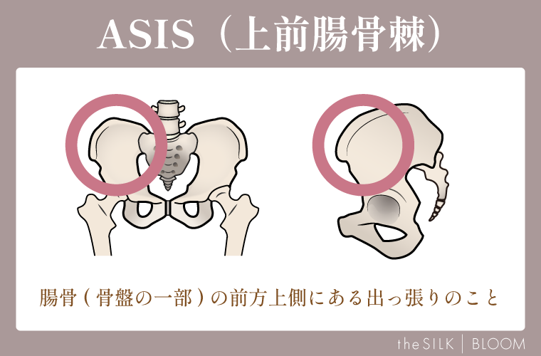 ASIS（上前腸骨棘）の画像