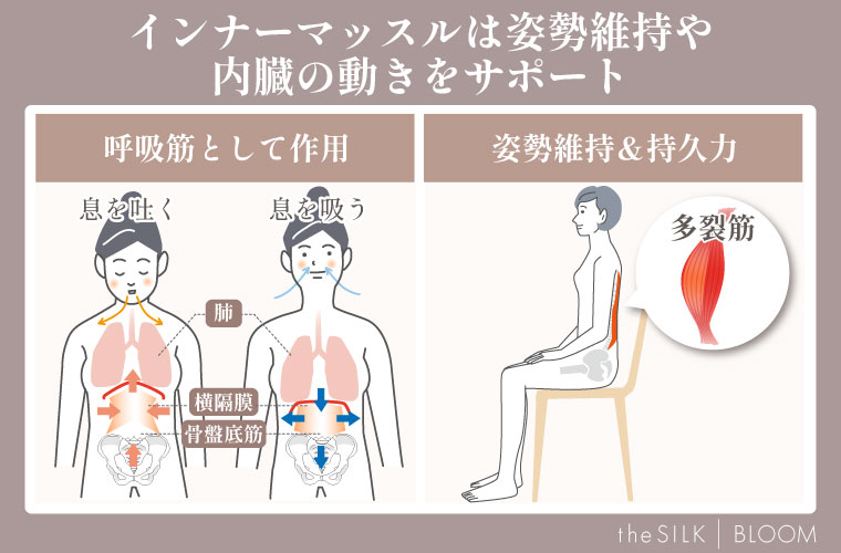 インナーマッスルの特徴と役割