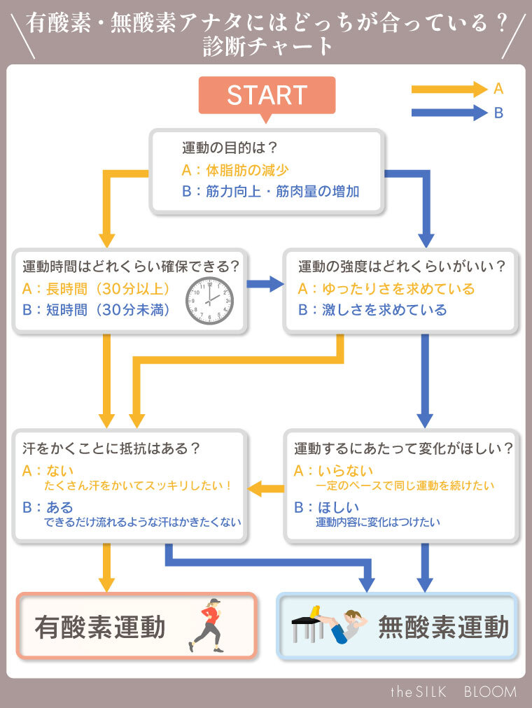 診断チャート