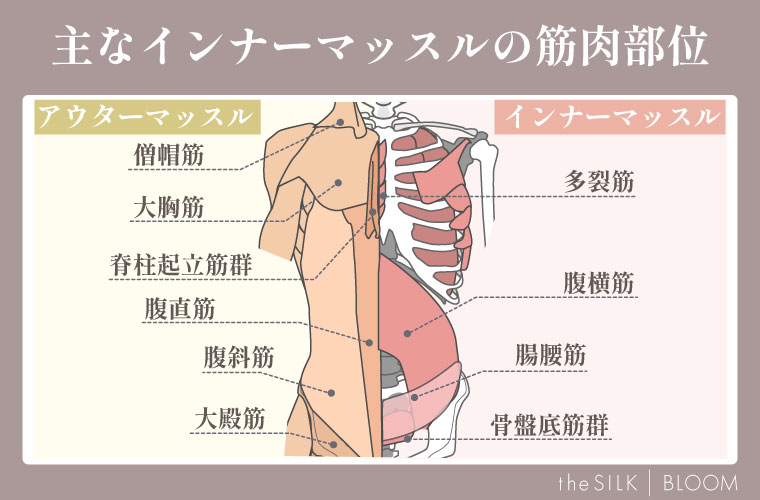 主なインナーマッスルの筋肉部位