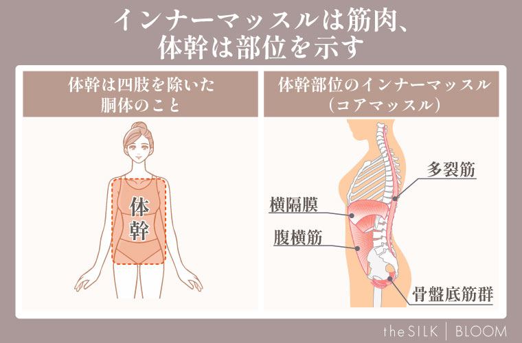 インナーマッスルとコア（体幹）の違い