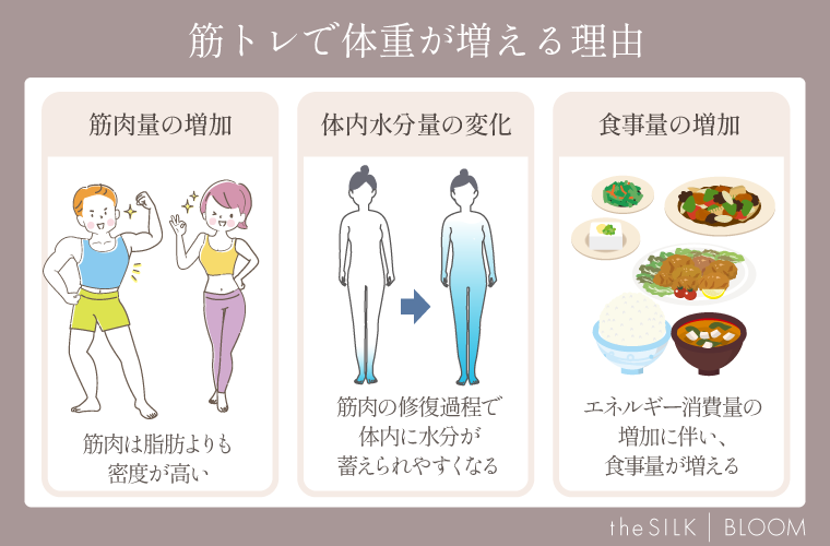 筋トレで体重が増える理由