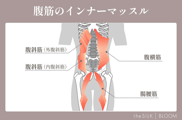 腹筋のインナーマッスル