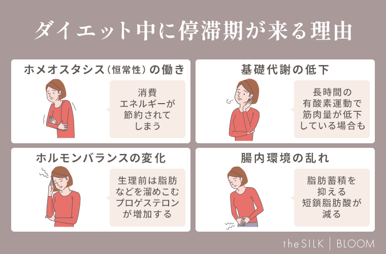 ダイエット中に停滞期が来る理由